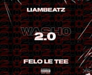 Felo Le Tee & Liam Beatz – Washo 2.0