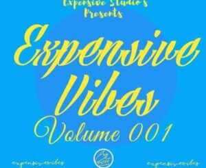 Mthetho The-Law – Expensive Vibes Vol. 001