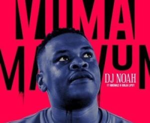 DJ Noah – Vuma ft Nokwazi & Ninja Lipsy