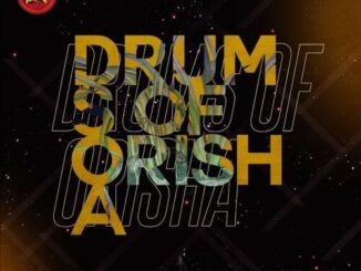 Dr Feel – Drums Of Orisha (Original Mix)