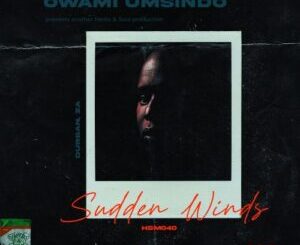 Owami Umsindo – Sudden Winds (Original Mix)