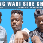 Poshy Gal – Meeting Wadi Side Chick Ft. Waswa Moloi Music
