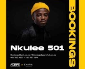 Nkulee501 – Suffle Ft Skroef28 & Tribesoul