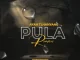 Ayah Tlhanyane – Pula (Remixes)