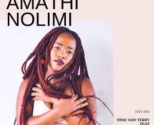 Dino & Terry, Nomvula SA – Amathi Nolimi