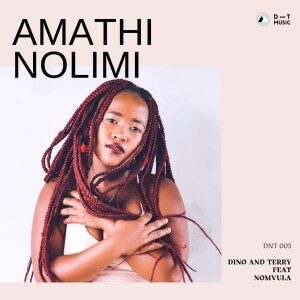 Dino & Terry, Nomvula SA – Amathi Nolimi