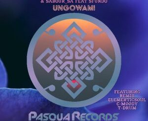 It’s Nocturnal, Sabour_SA, Sfundo – Ungowami (Incl. Remixes)