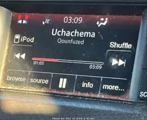 Qounfuzed – Uchachema