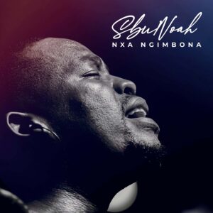 Sbu Noah – Nxa Ngimbona (Live)