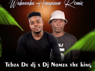 Tebza De DJ – WakaWaka Amapiano Remix Ft. DJ Nomza The King