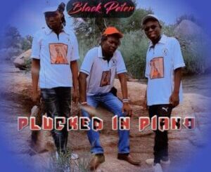 Black Peter – Plucked In Piano
