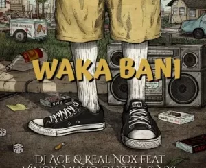 DJ Ace & Real Nox – Waka Bani Ft. Vinox_Musiq, DJ Yeka & NYL