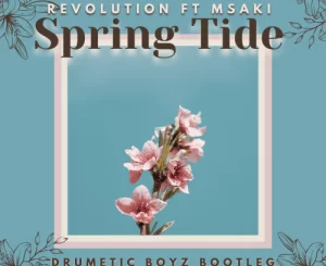 Revolution – Spring Tide (Drumetic Boyz Bootleg) ft. Msaki