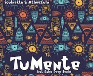 Soulnekta & MtheeZulu – Tu Mente (Echo Deep Remix)