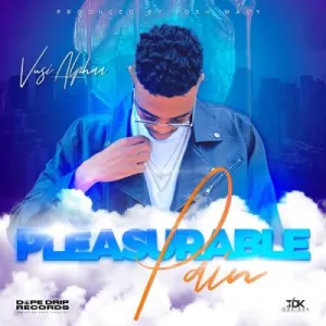 Vusi Alphaa – Pleasurable Pain