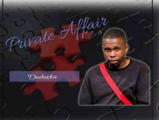 Dodoskii – Private Affair 15.0 Mix