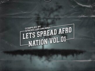 Various Artists – Let’s Spread Afro Nation, Vol. 01