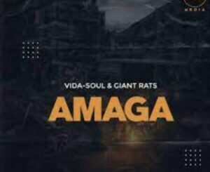 Vida-soul & Giant Rats – Amaga (Original Mix)