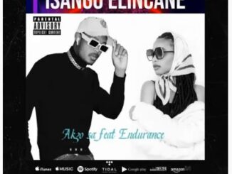 Akzo SA - Isango Elincane