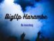 BigUp Harambe – Kae kapa Kae (Official Audio)