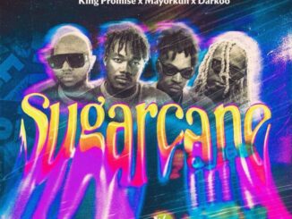 Camidoh – Sugarcane Remix Ft. King Promise, Mayorkun & Darkoo