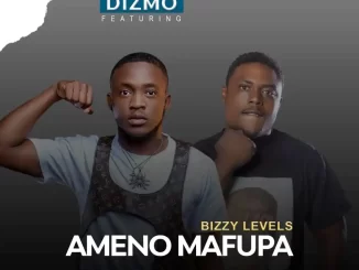 Dizmo Ft. Bizzy Levels – Ameno Mafupa