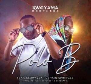 Kweyama Brothers Ft. Slowavex Pushkin Springle – Polo B