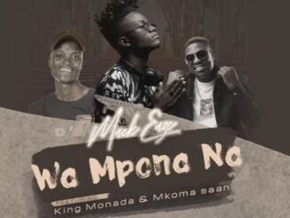 Mack Eaze Ft. King Monada & Mkoma Saan – Wa Mpona Na