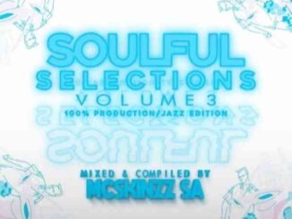 Mc’SkinZz_SA – Soulful Selections Vol.003