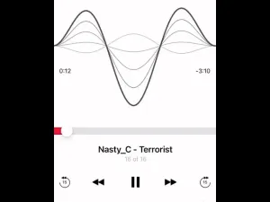 Nasty C – Terrorist (Ivyson Army Mixtape)