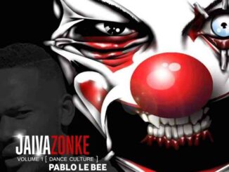 Pablo Lee Bee – Jaiva Zonke Vol.1 (Dance Culture)