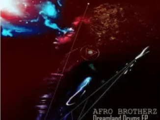 Afro Brotherz – Tomorrow Is Gone Original Mix