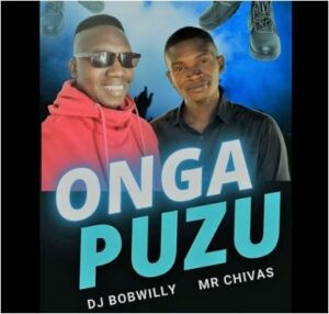 DJ BobWilly & Mr Chivas - Onga PhuzuDJ BobWilly & Mr Chivas - Onga Phuzu