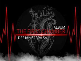 Deejay Zebra SA – The First Chamber