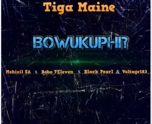 Tiga Maine – Bowukuphi? Ft. Mshizil SA, Bobo 7Eleven, Black Pearl & Voltage183