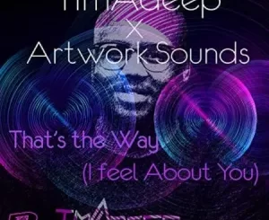 TimAdeep & Artwork Sounds – Thats The Way (I Think About You)