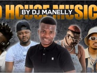 DJ MaNelly - Bolo House Mix Vol. 2
