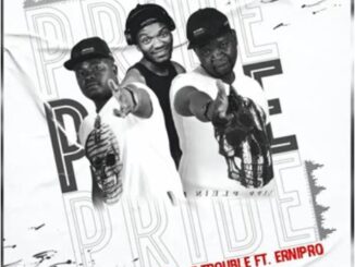 Double Trouble - Pride Ft. Ernipro