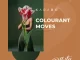 Karabo – Colourant Moves (Original Mix)