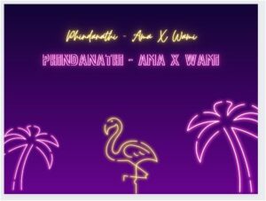 Phindanathi - Ama X Wami