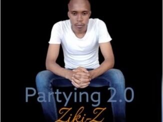 Ziki Z - Partying 2.0