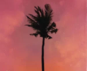 Jay Jody – Purple Palm Trees Ft. A-Reece, Marcus Harvey