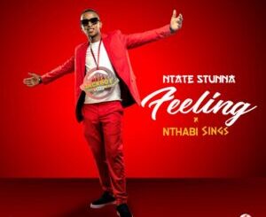 Ntate Stunna – Feeling Ft. Nthabi Sings