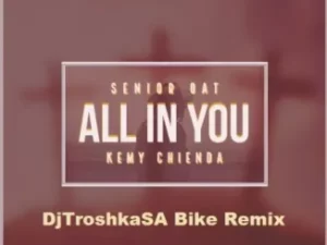 Senior Oat – All In You Ft. Kemy Chienda (DJTroshkaSA Bike Remix)
