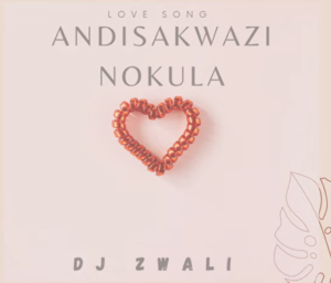 Dj Zwali - Andisakwazi Nokulala (Love song)