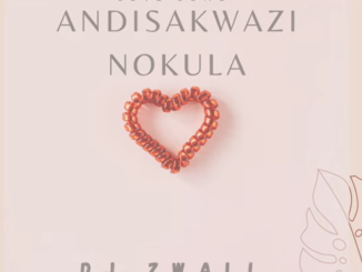Dj Zwali - Andisakwazi Nokulala (Love song)