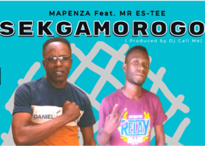 Mapenza - Sekgamorogo Ft. Mr Es-Tee