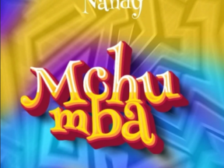 Nandy – Mchumba