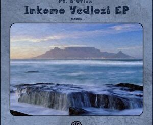 Native P. & Dr Feel – Inkomo Yedlozi (Original Mix) ft. B’Utiza