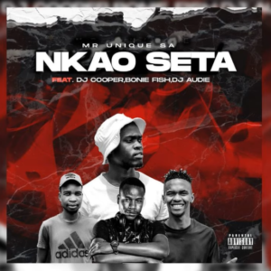 Nkao Seta - Mr Unique SA Ft. DJ Cooper, Bonie Fish & Dj Audie
